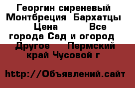 Георгин сиреневый. Монтбреция. Бархатцы.  › Цена ­ 100 - Все города Сад и огород » Другое   . Пермский край,Чусовой г.